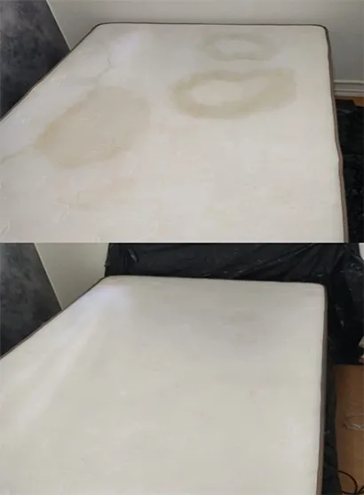 Lavagem de Cama Box na Granja Viana