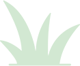 Manutenção de Jardim de Condomínio no Jardins